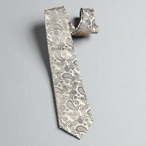 GEEK-M HAND MADE MICROFIBER PAISLEY TIE GRAY SILVER